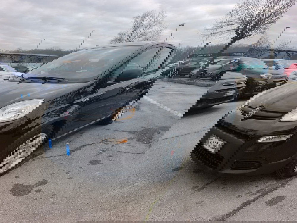 Fiat Panda usata a Frosinone (2)