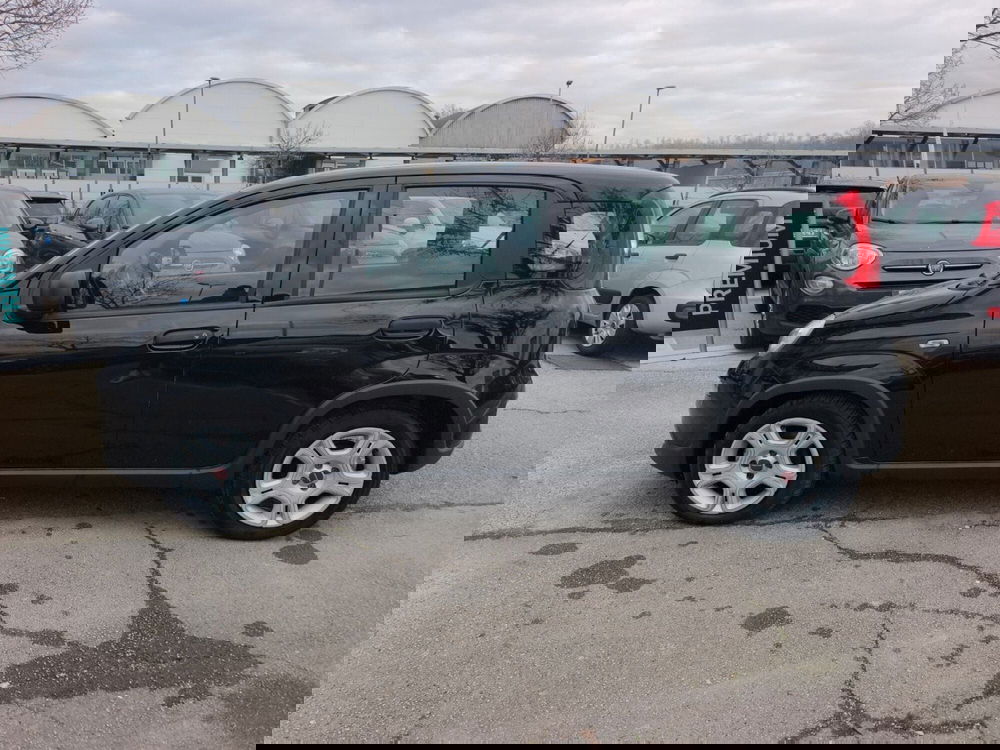 Fiat Panda usata a Frosinone (3)