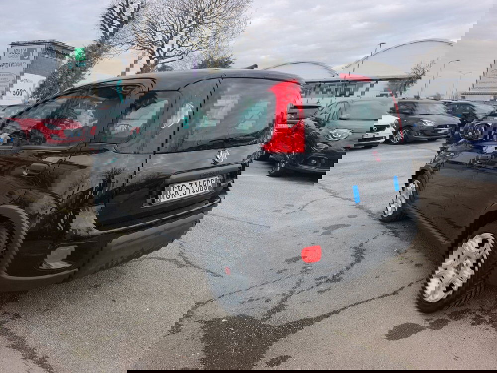 Fiat Panda usata a Frosinone (4)