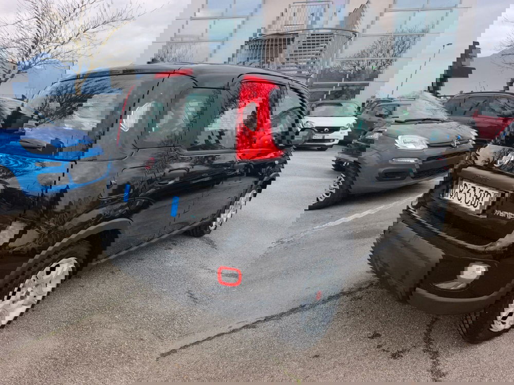 Fiat Panda usata a Frosinone (6)