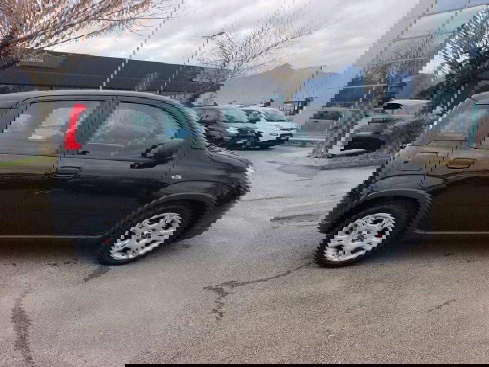 Fiat Panda usata a Frosinone (7)