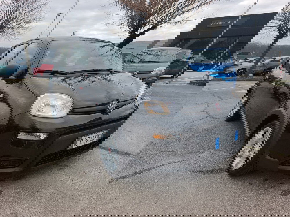 Fiat Panda usata a Frosinone (8)