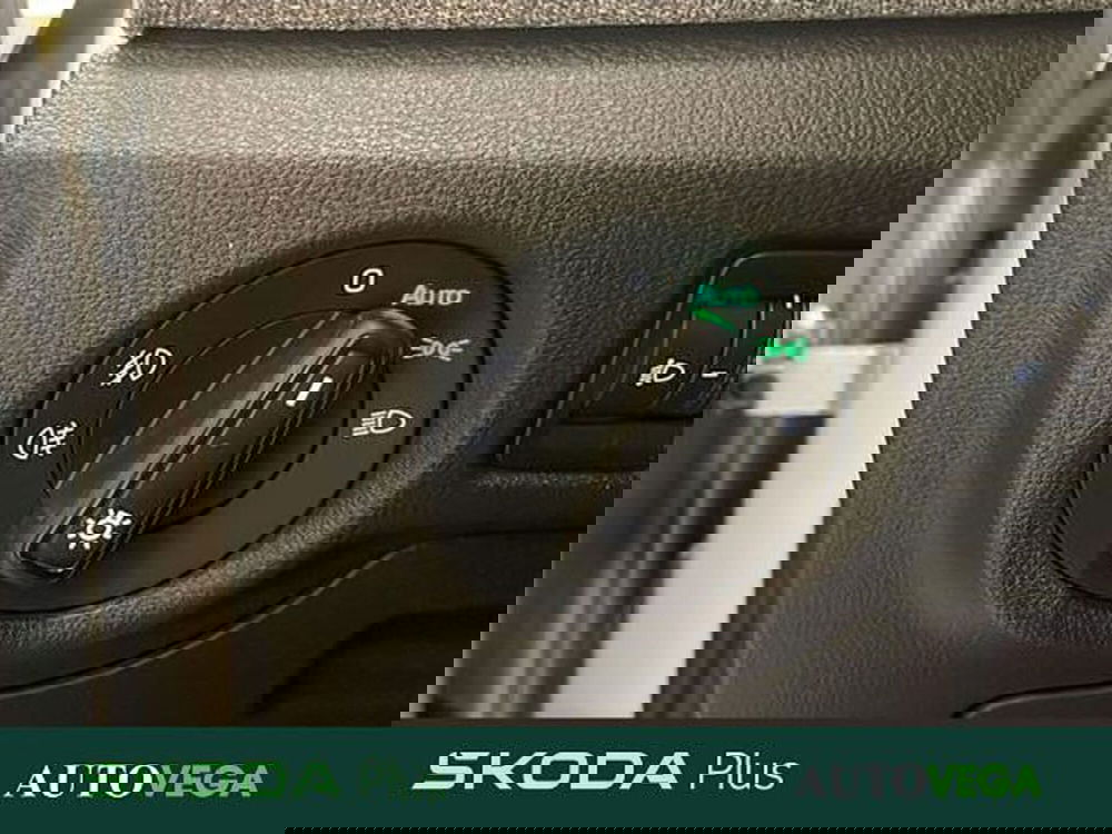 Skoda Kamiq usata a Vicenza (16)