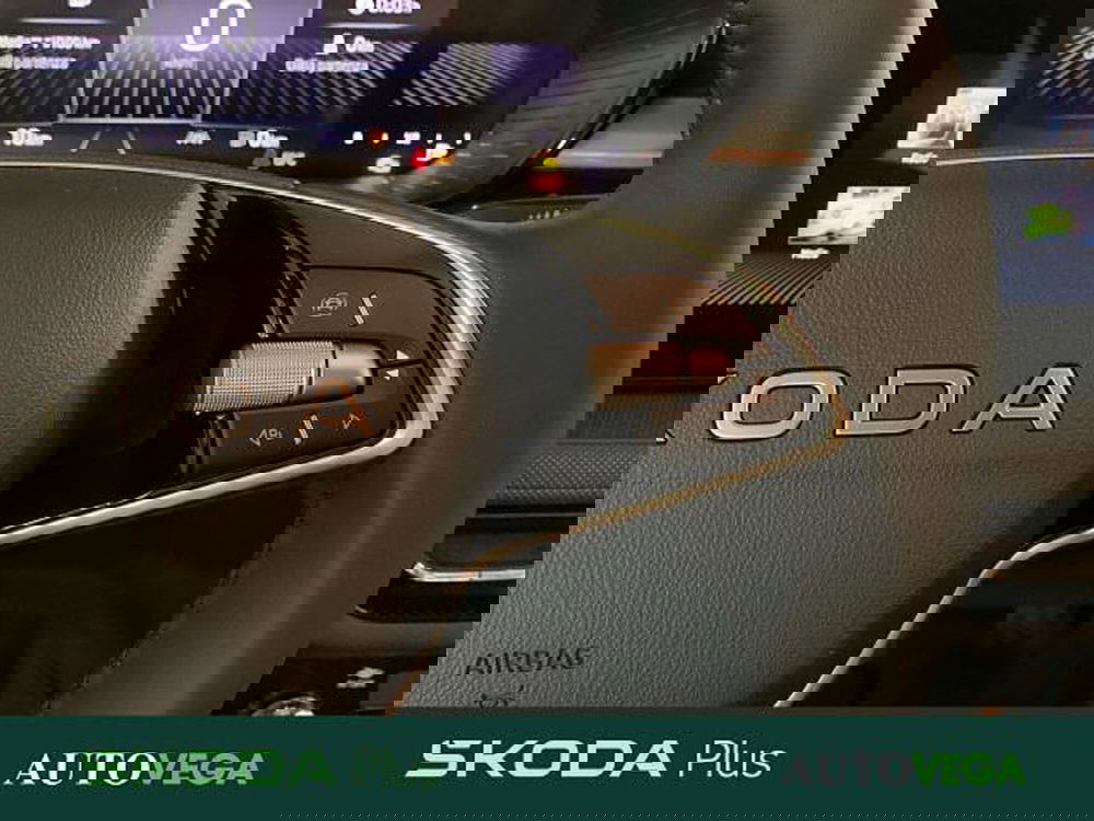 Skoda Fabia nuova a Vicenza (11)