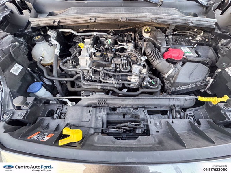 Ford Puma usata a Roma (12)