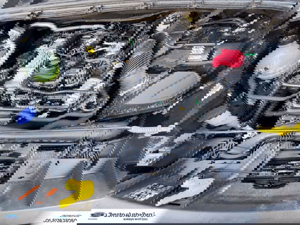 Ford Puma usata a Roma (12)