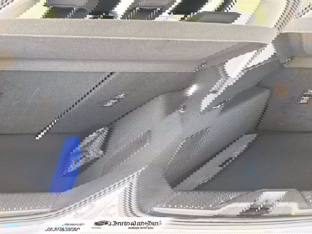 Ford Fiesta usata a Roma (11)