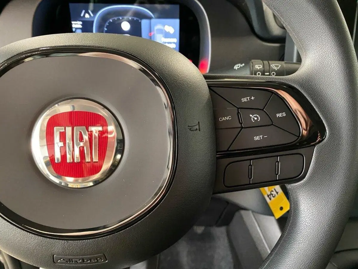 Fiat Pandina nuova a Torino (14)