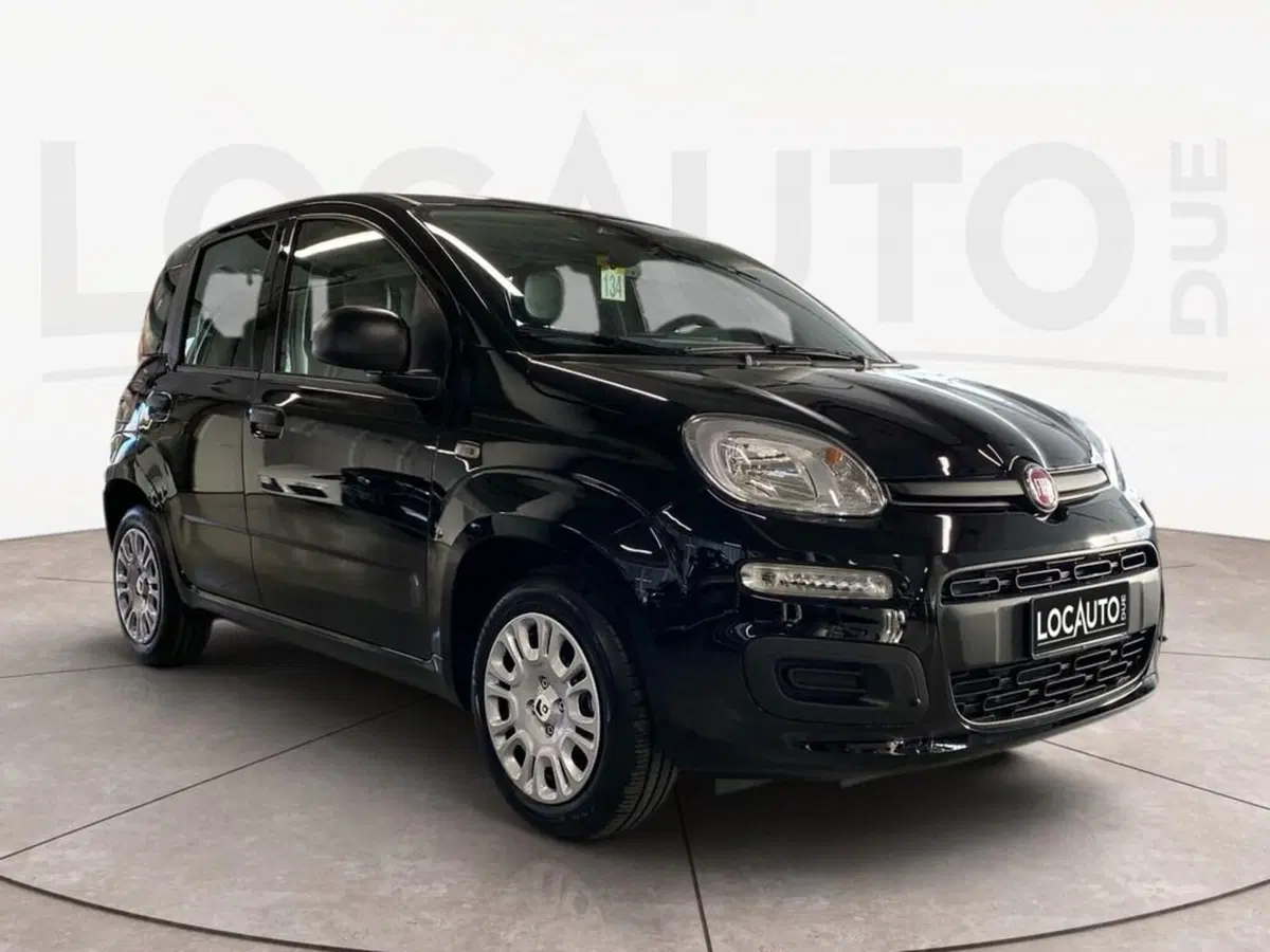Fiat Pandina nuova a Torino (3)