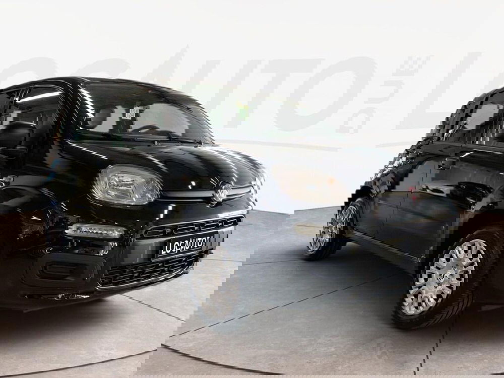 Fiat Pandina nuova a Torino (3)