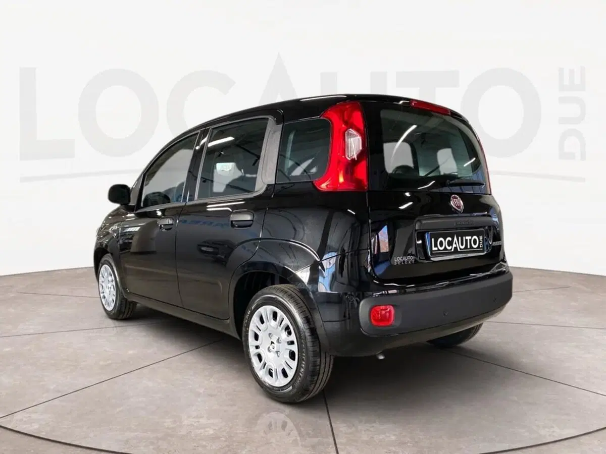 Fiat Pandina nuova a Torino (5)