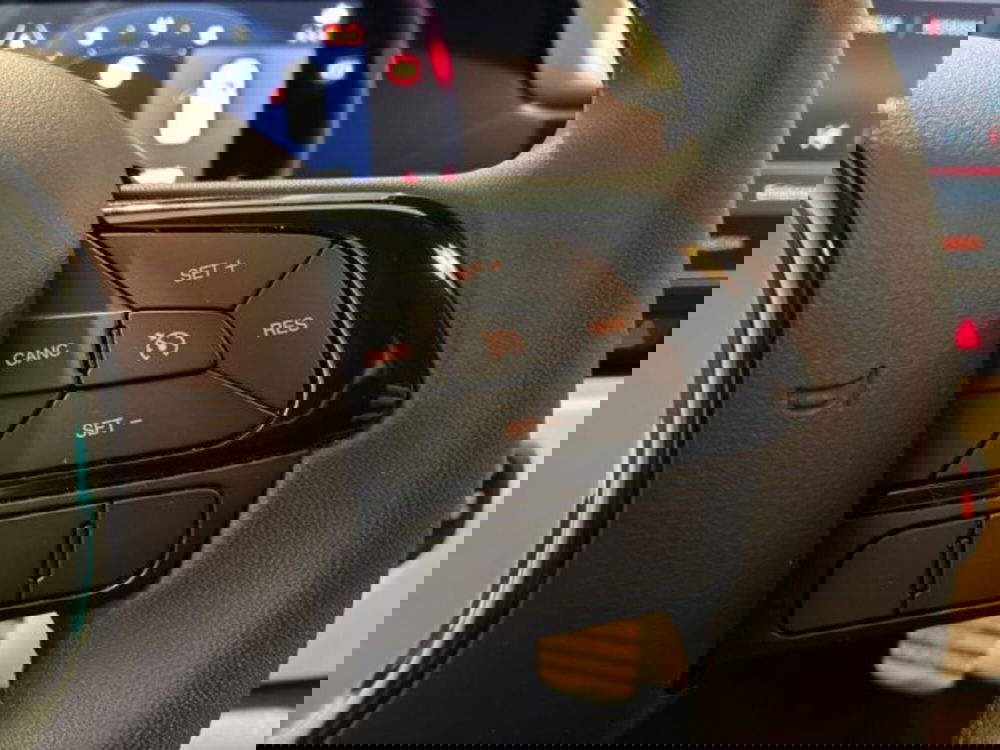 Fiat Panda Cross usata a Ancona (20)