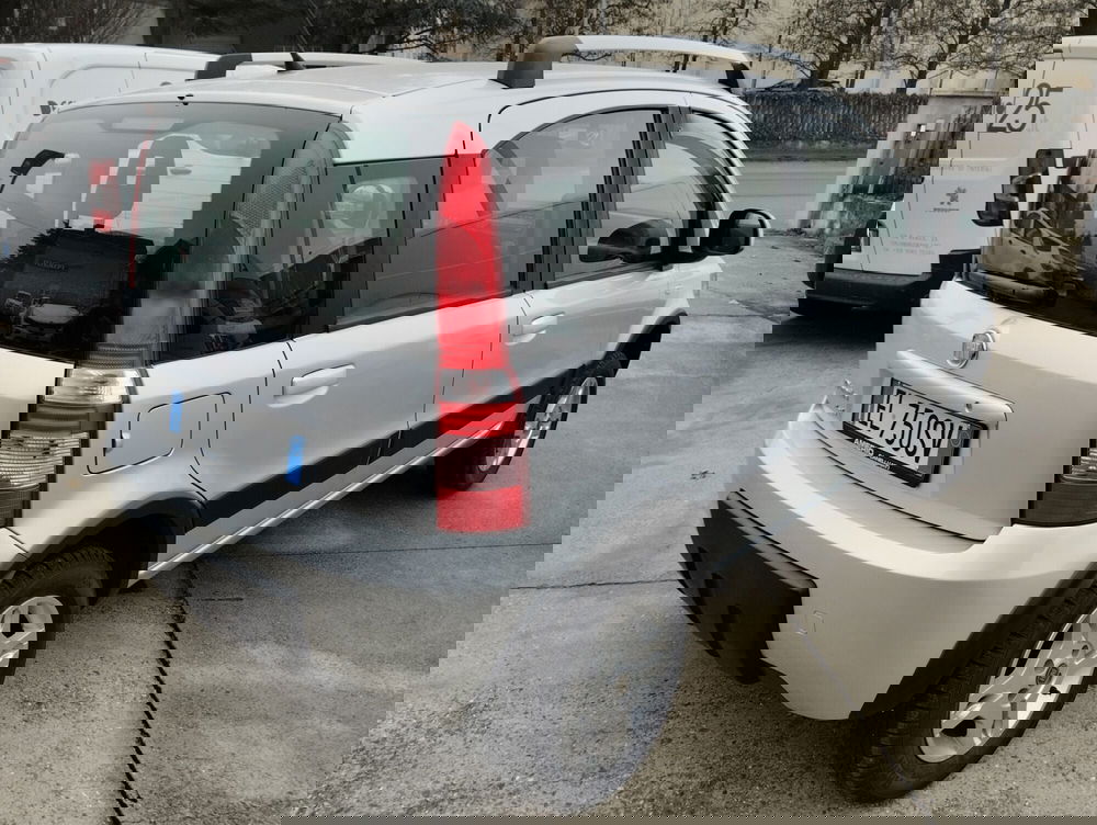 Fiat Panda usata a Asti (4)