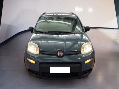 Fiat Panda 1.0 firefly hybrid s&amp;s 70cv 5p.ti del 2021 usata a Torino