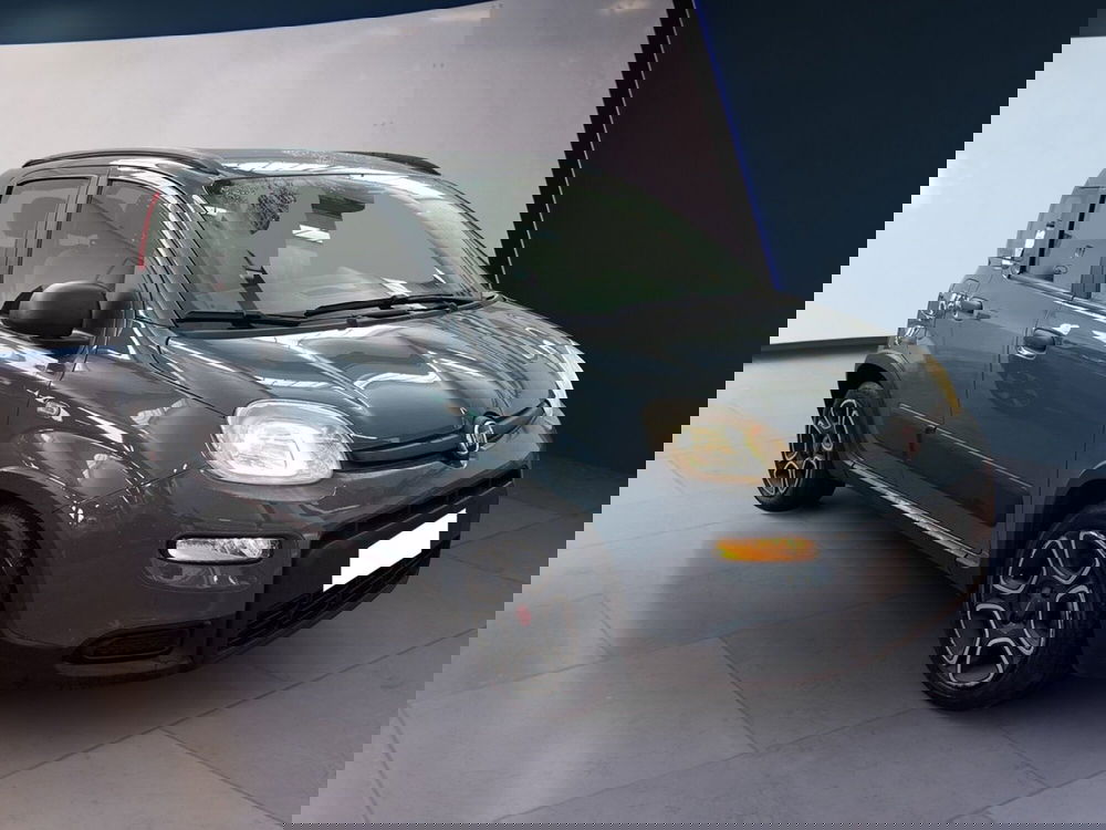 Fiat Panda usata a Torino (2)