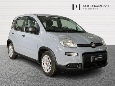 Fiat Panda 1.0 firefly hybrid s&amp;s 70cv 5p.ti del 2022 usata a Bari