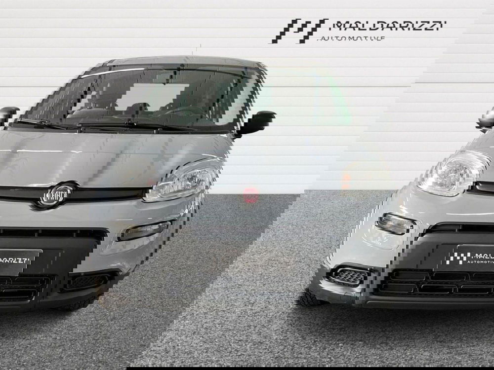Fiat Panda usata a Bari (2)