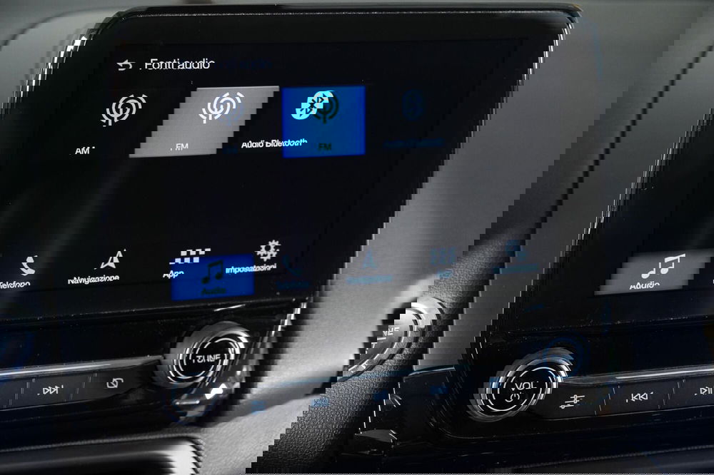 Ford EcoSport usata a Perugia (17)