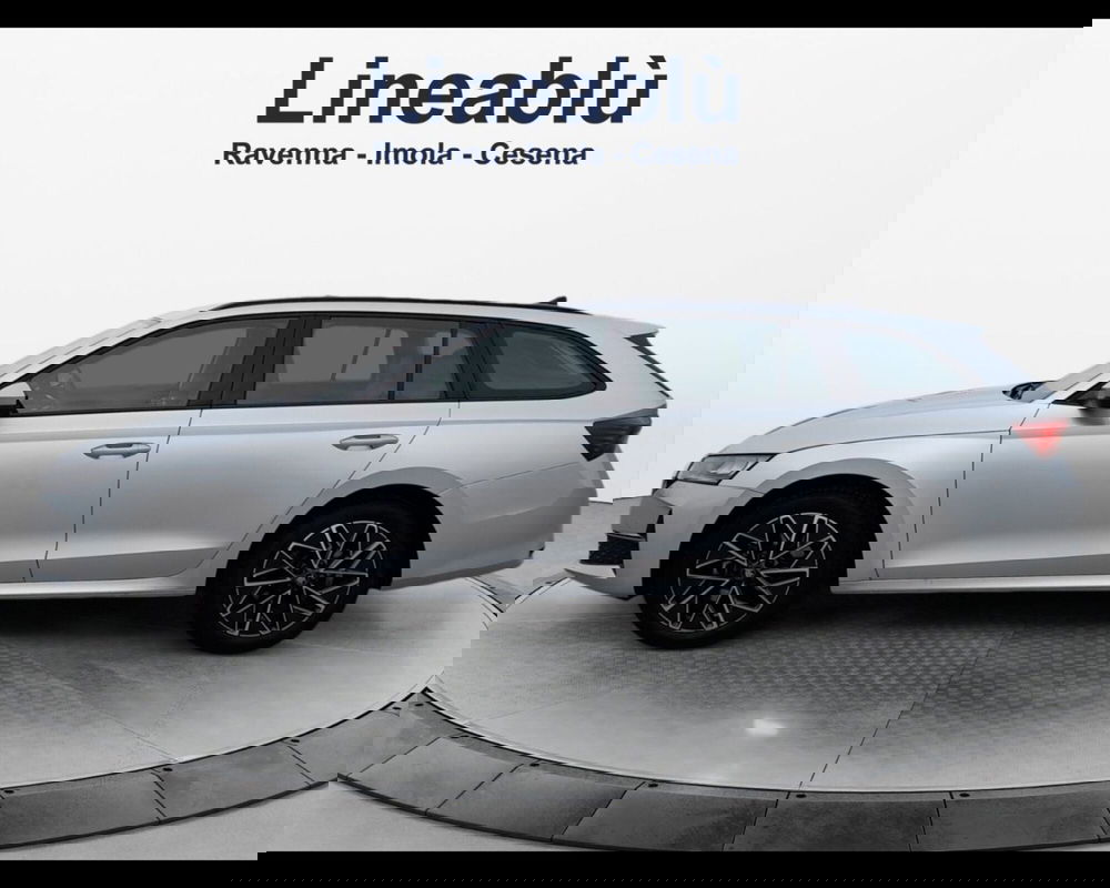 Skoda Octavia Station Wagon usata a Forlì-Cesena (2)