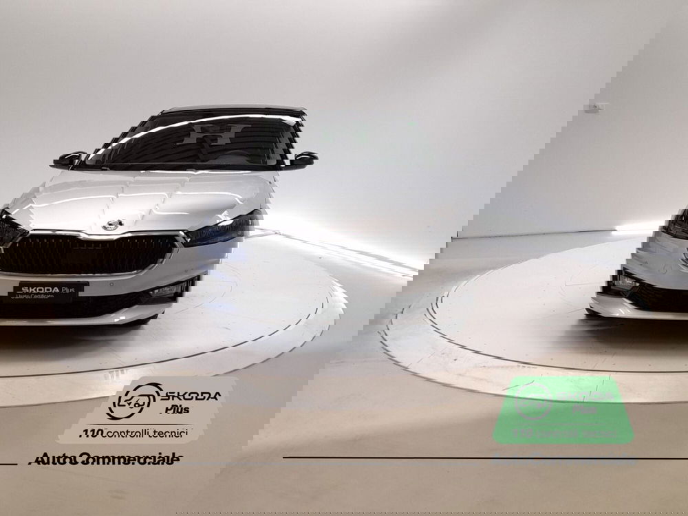 Skoda Fabia usata a Bologna (2)