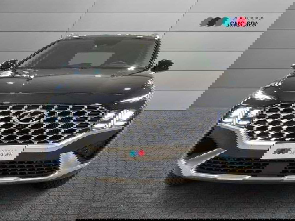 Hyundai Santa Fe usata a Pistoia (2)