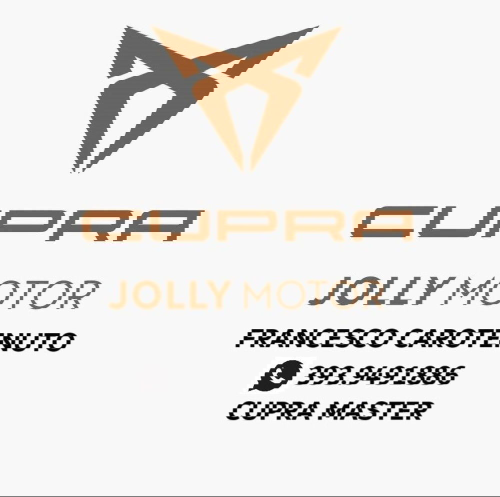 Renault Clio usata a Frosinone (2)