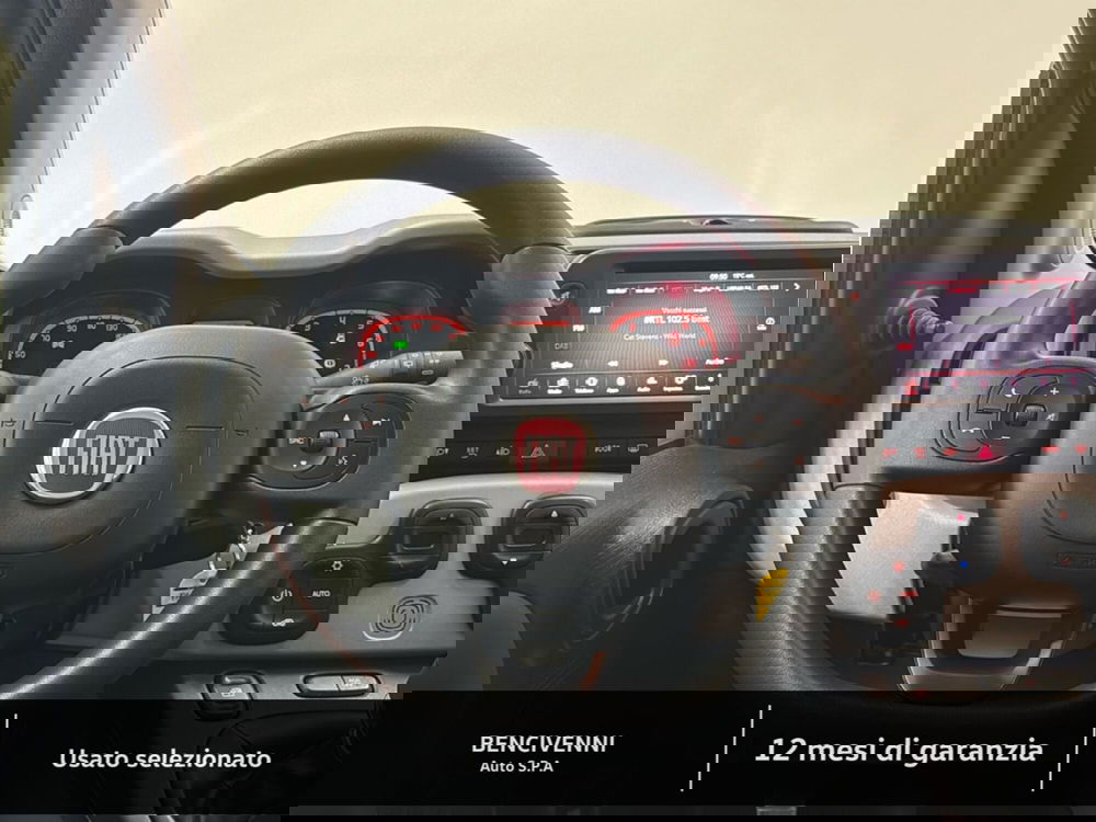 Fiat Panda Cross usata a Catanzaro (15)