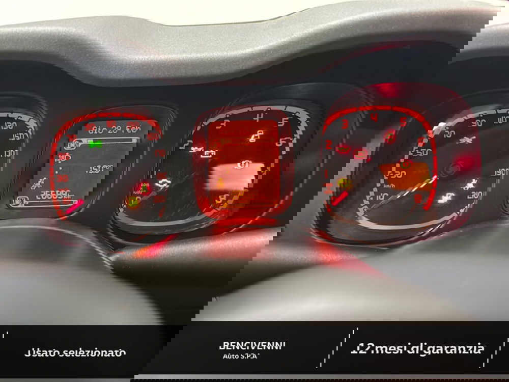 Fiat Panda Cross usata a Catanzaro (16)