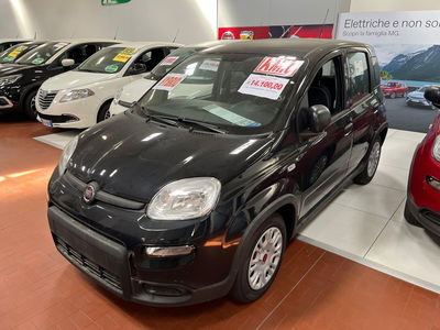 Fiat Panda Cross Cross 1.0 FireFly S&amp;S Hybrid nuova a Altopascio