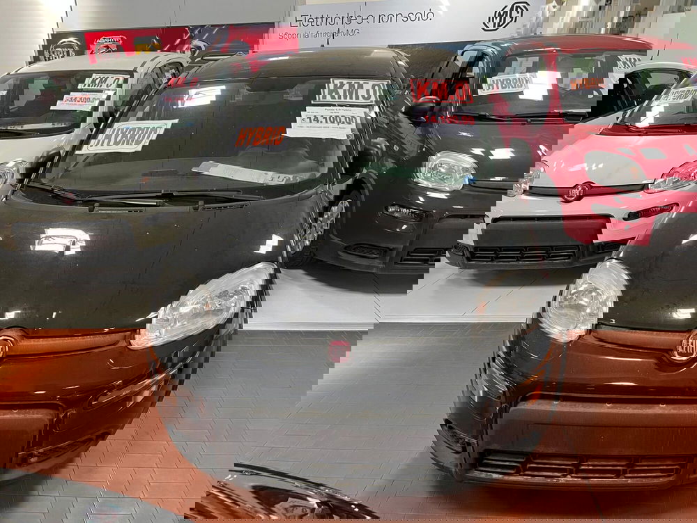 Fiat Panda Cross nuova a Lucca (2)