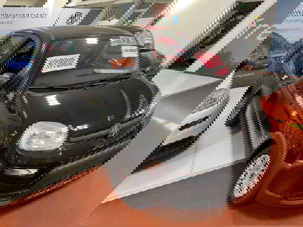 Fiat Panda Cross nuova a Lucca (3)