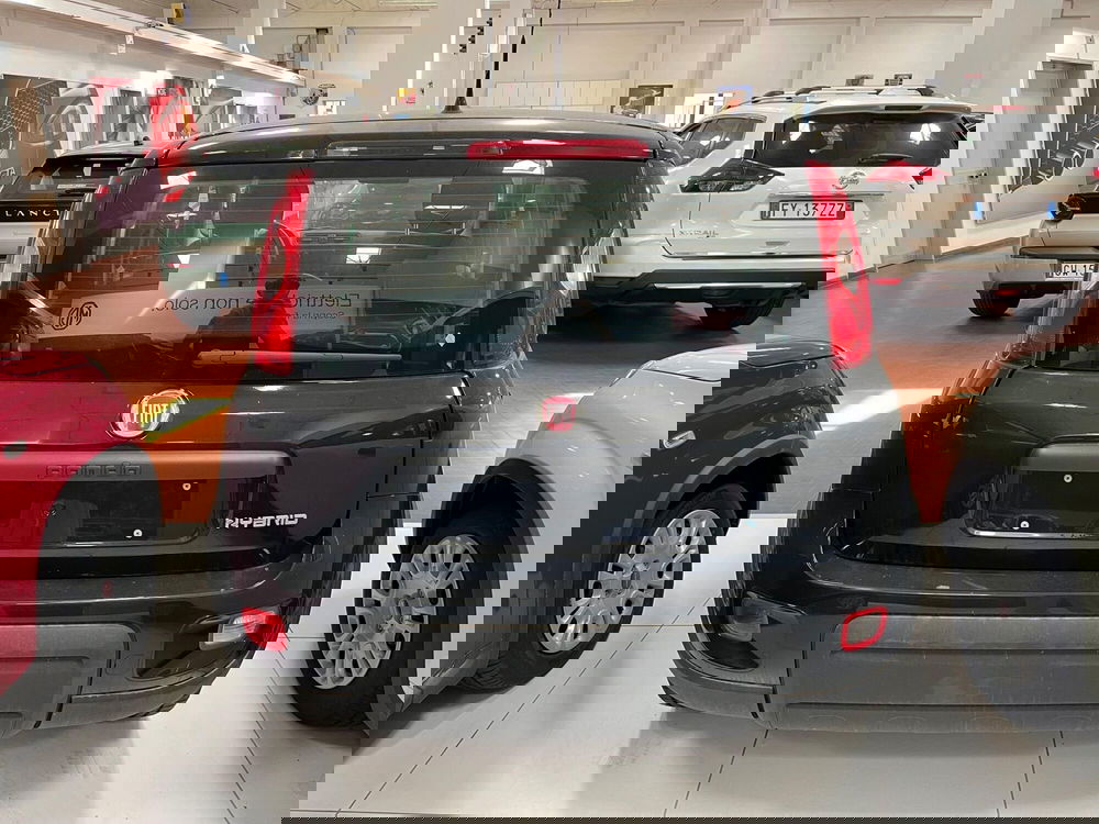 Fiat Panda Cross nuova a Lucca (6)