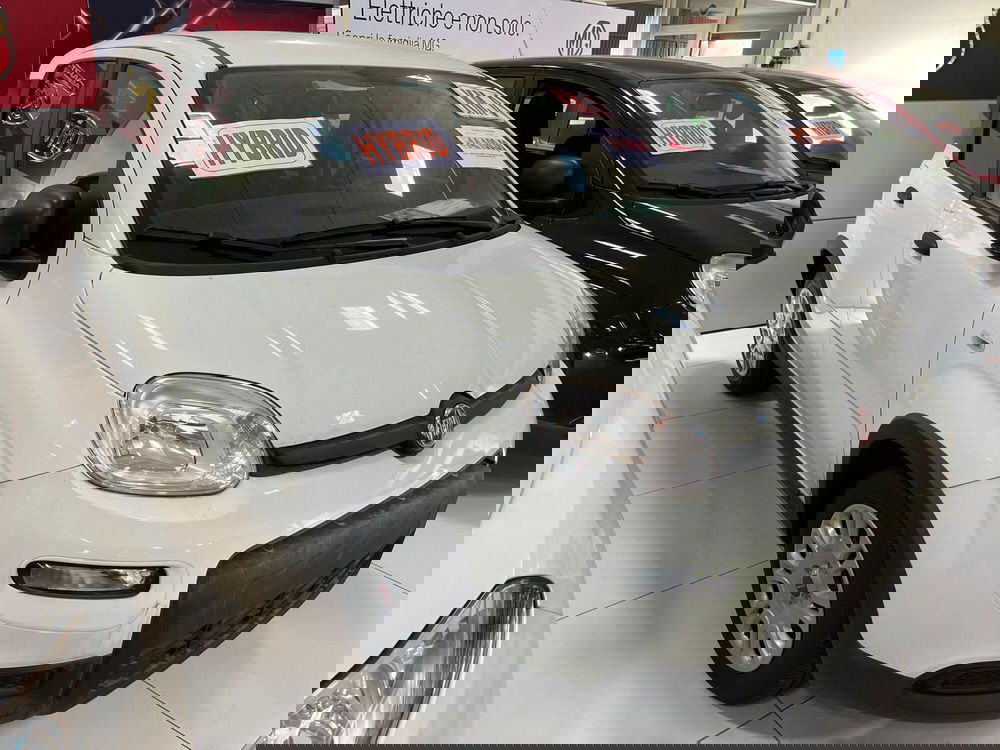 Fiat Panda nuova a Lucca (3)