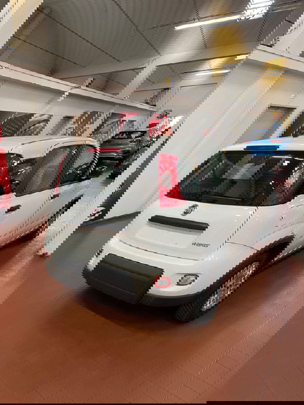 Fiat Panda nuova a Lucca (7)