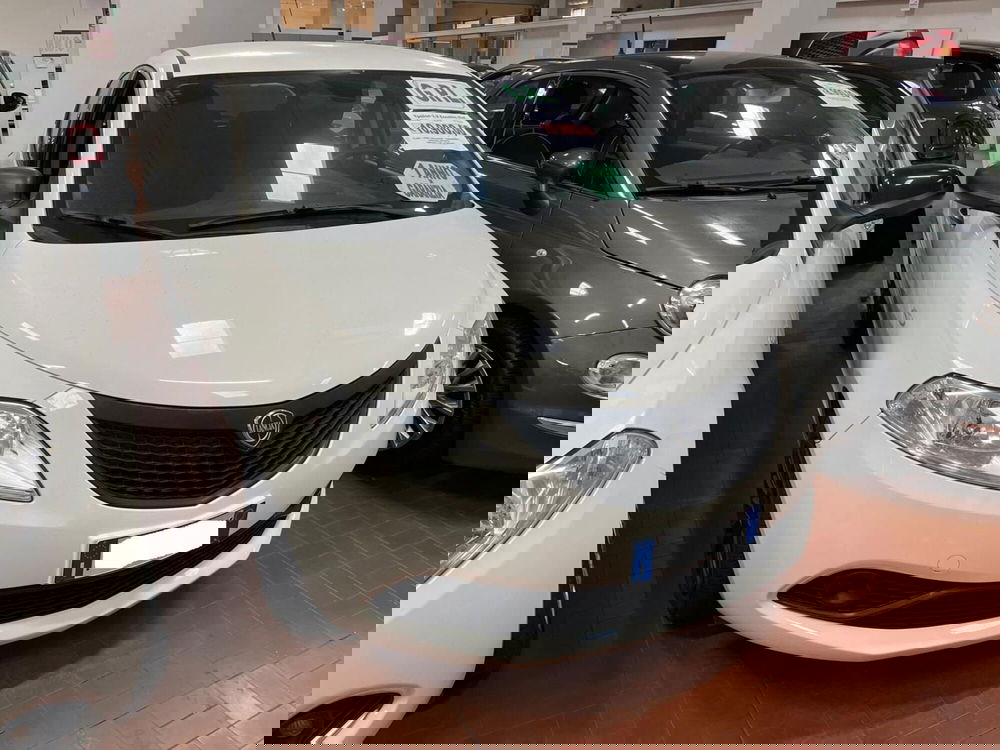 Lancia Ypsilon usata a Lucca (3)