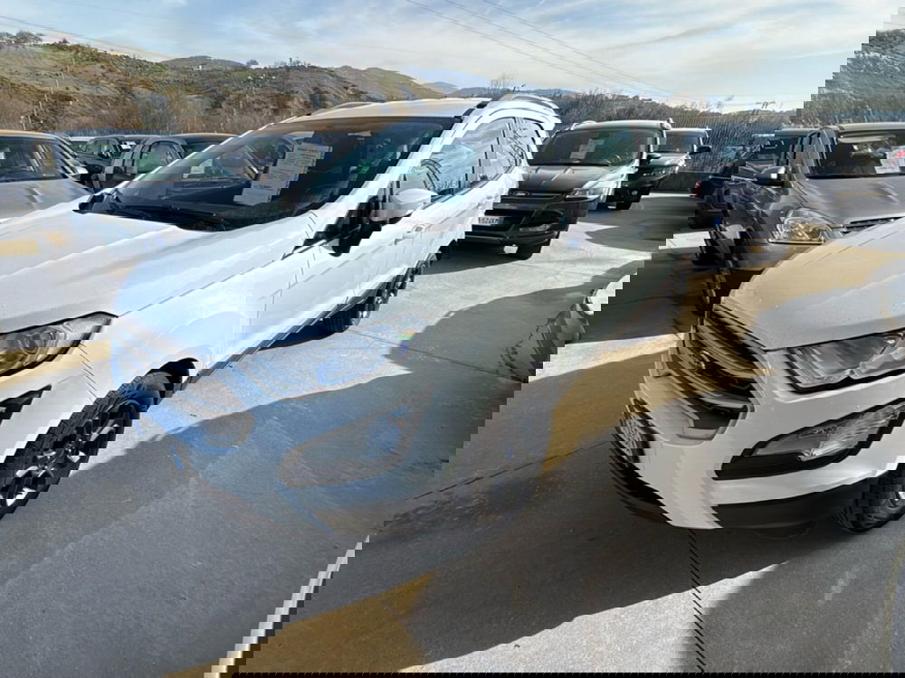 Ford EcoSport usata a Cosenza