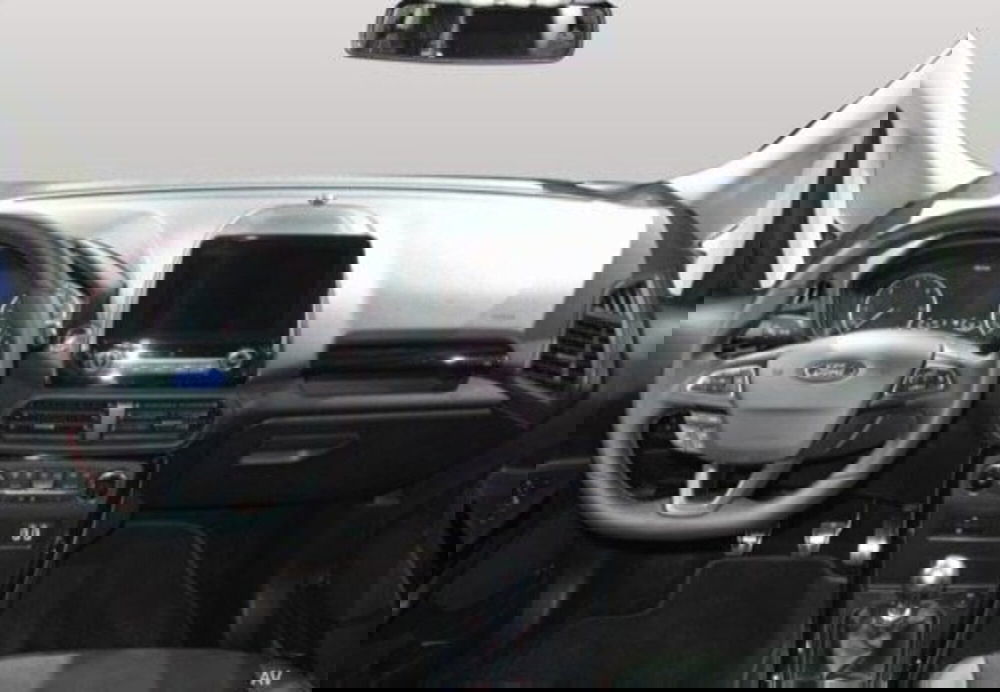 Ford EcoSport usata a Cosenza (14)