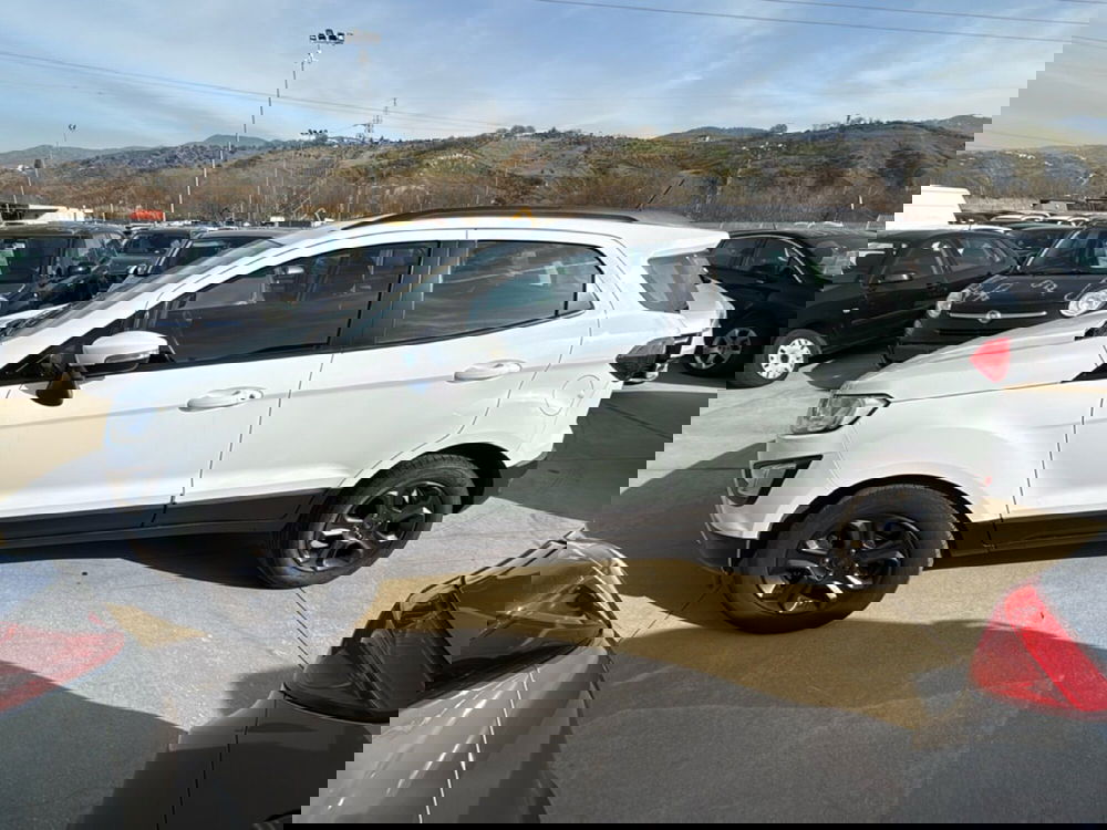 Ford EcoSport usata a Cosenza (2)