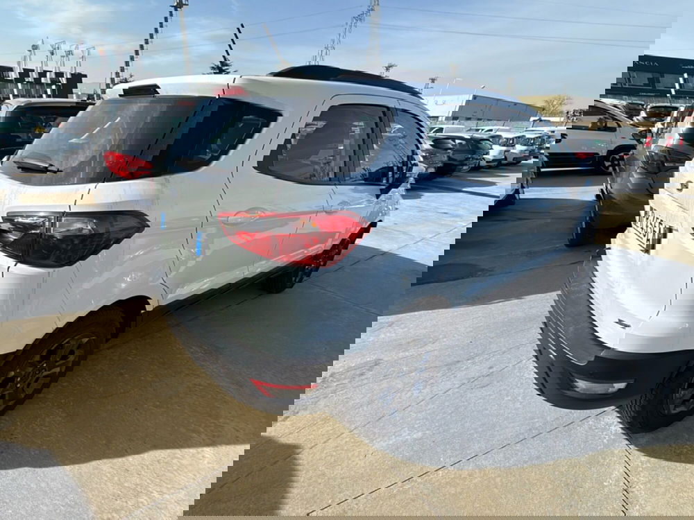 Ford EcoSport usata a Cosenza (3)