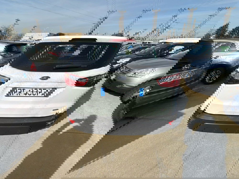 Ford EcoSport usata a Cosenza (4)