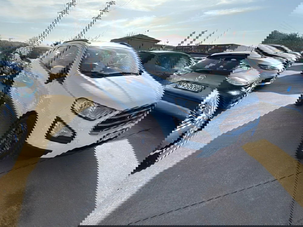 Ford EcoSport usata a Cosenza (8)