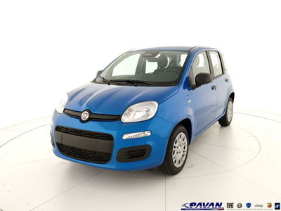Fiat Panda 1.0 firefly hybrid Icon s&amp;s 70cv nuova a Piove di Sacco