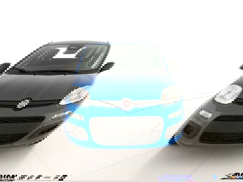 Fiat Panda nuova a Padova (2)