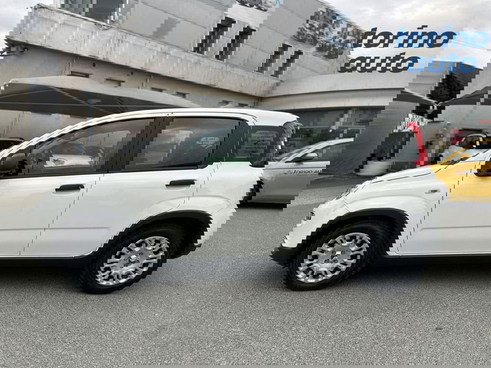 Fiat Panda Cross nuova a Torino (4)