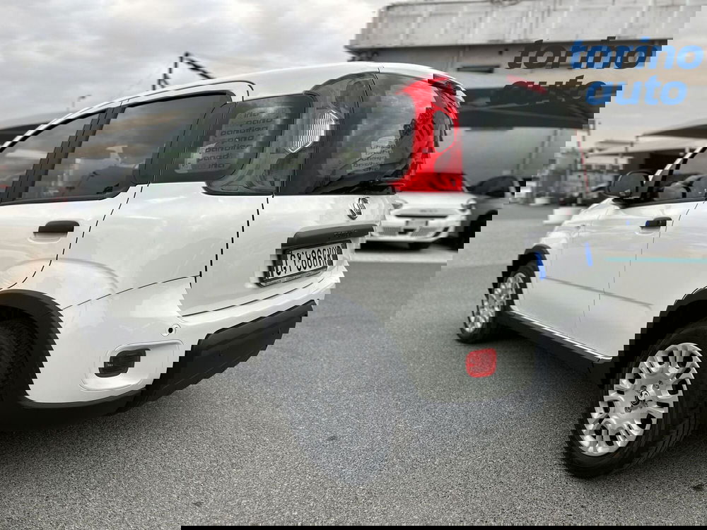 Fiat Panda Cross nuova a Torino (5)