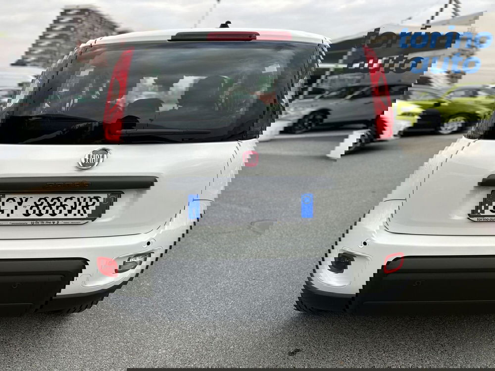 Fiat Panda Cross nuova a Torino (6)