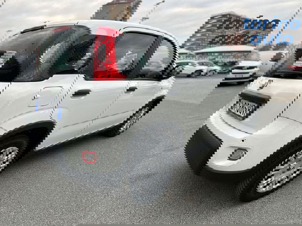 Fiat Panda Cross nuova a Torino (7)