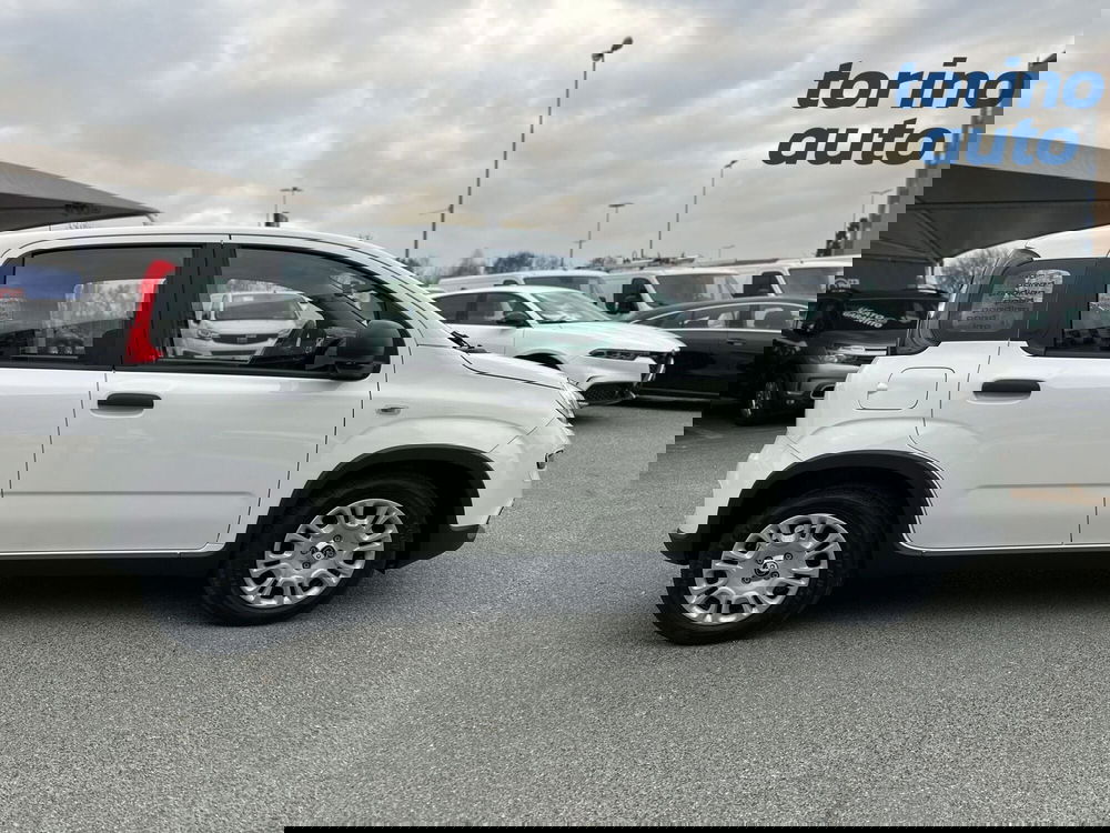 Fiat Panda Cross nuova a Torino (8)