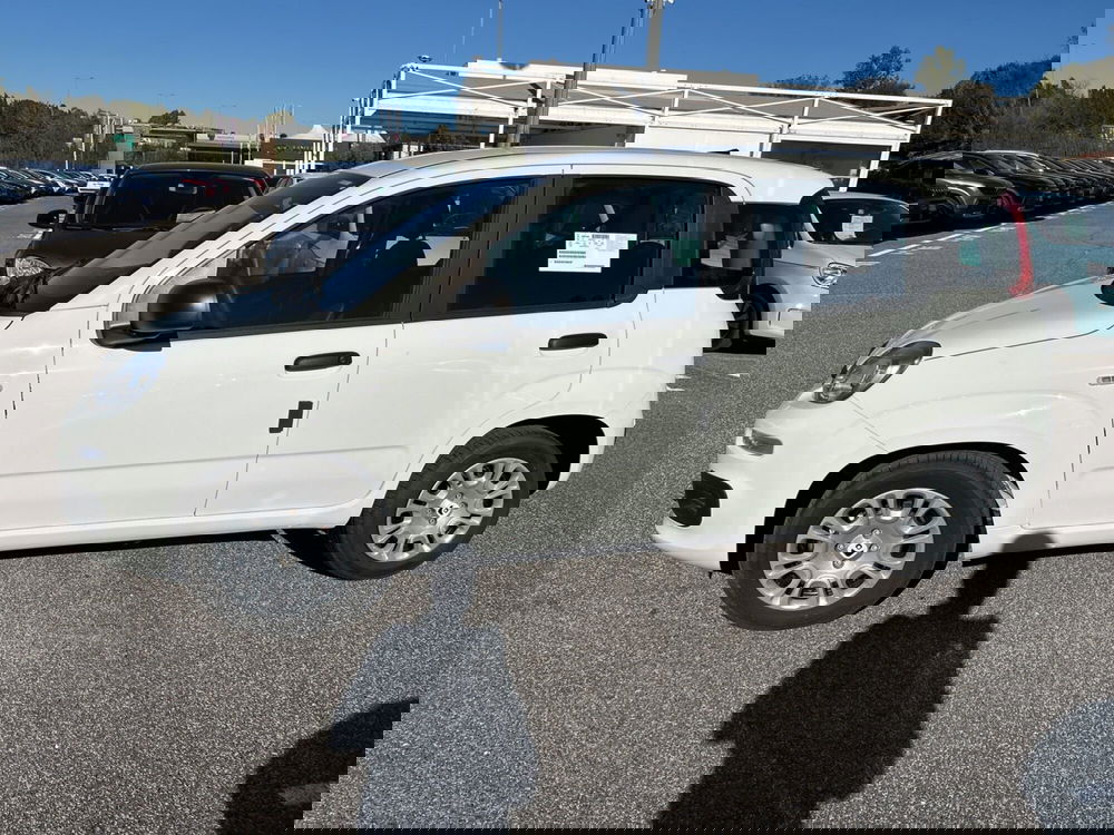 Fiat Panda nuova a Roma (8)