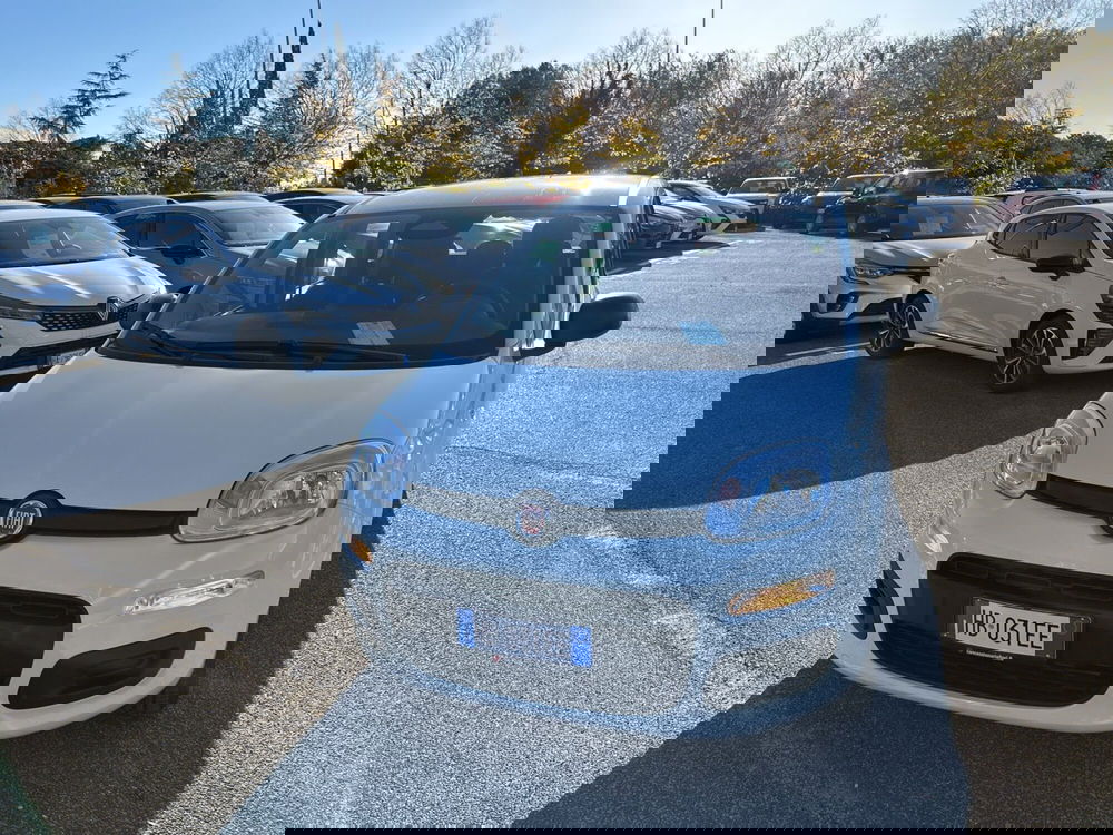 Fiat Panda nuova a Roma (7)